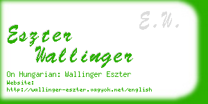 eszter wallinger business card